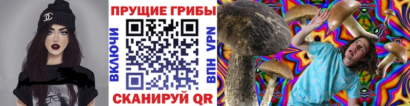Псилоцибиновые грибы GOLDEN TEACHER  Севск 